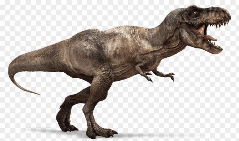 Dinosaur Tyrannosaurus Ankylosaurus Hell Creek Formation Meat-Eating Dinosaurs PNG