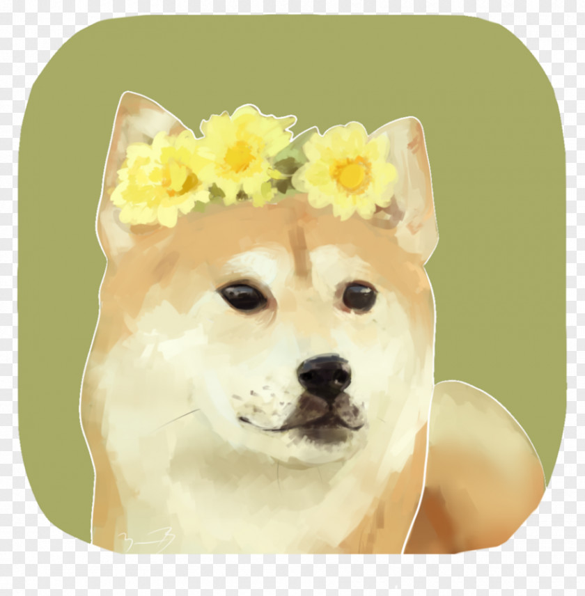 Doggo Shiba Inu Dog Breed Drawing Puppy PNG