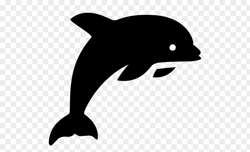 Dolphin Icon Design PNG