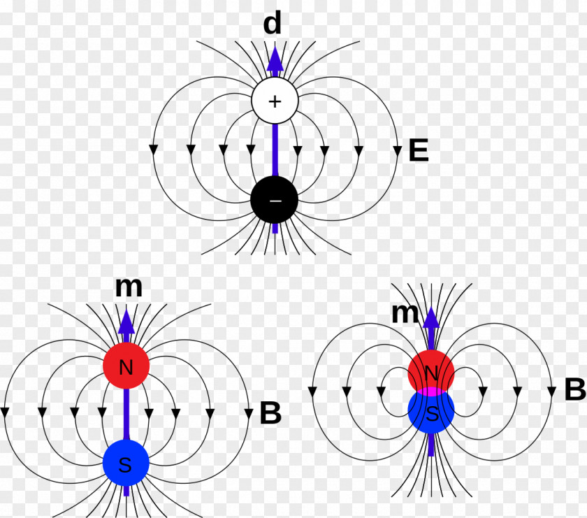 Field Magnetic Monopole Dipole Magnetism PNG