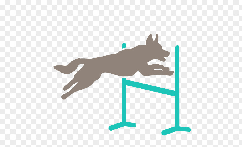 Golden Retriever Border Collie Dog Agility German Shepherd Training PNG