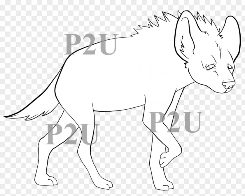 Hyena Cat Drawing /m/02csf Wildlife Carnivora PNG