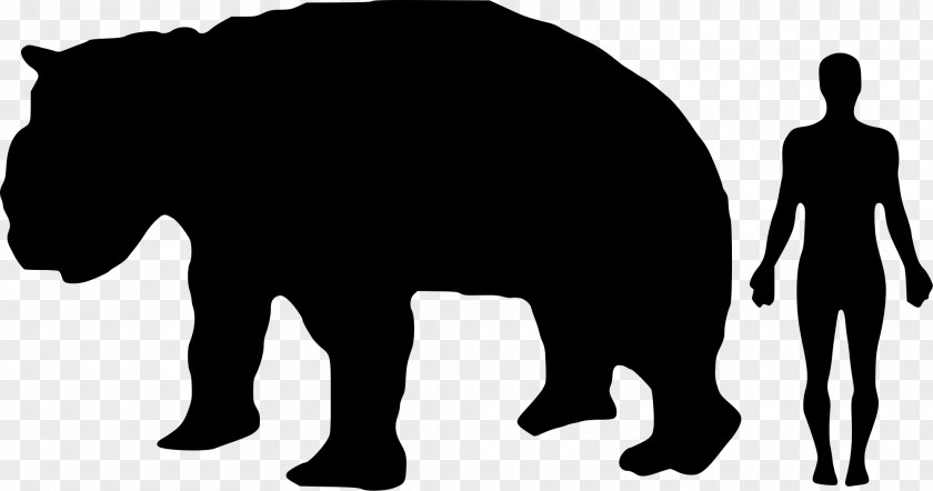 Variation Elephant Wombat Diprotodon Koala Rhinoceros Marsupial PNG