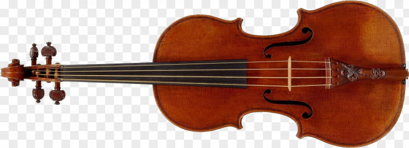 Violin Bass Violone Viola Double PNG