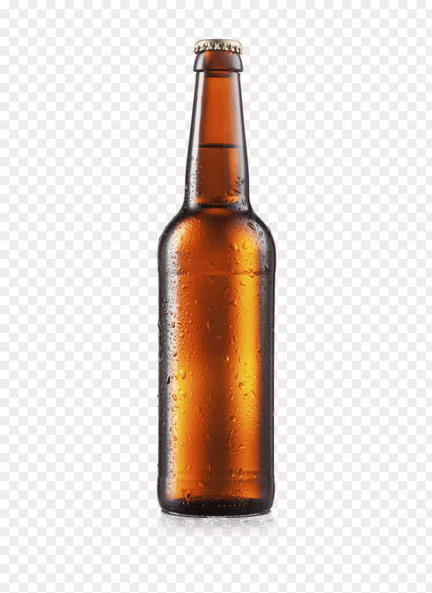 Beer Lager Brewing Grains & Malts Cider Ale PNG