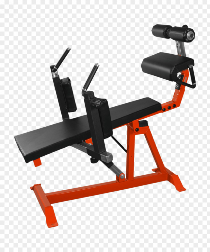 Bench Crunch Exercise Equipment Machine Abdominal PNG