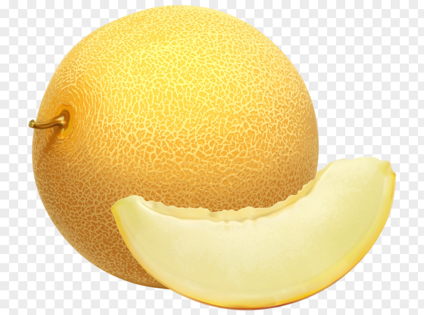 Melon Cantaloupe Honeydew Clip Art PNG