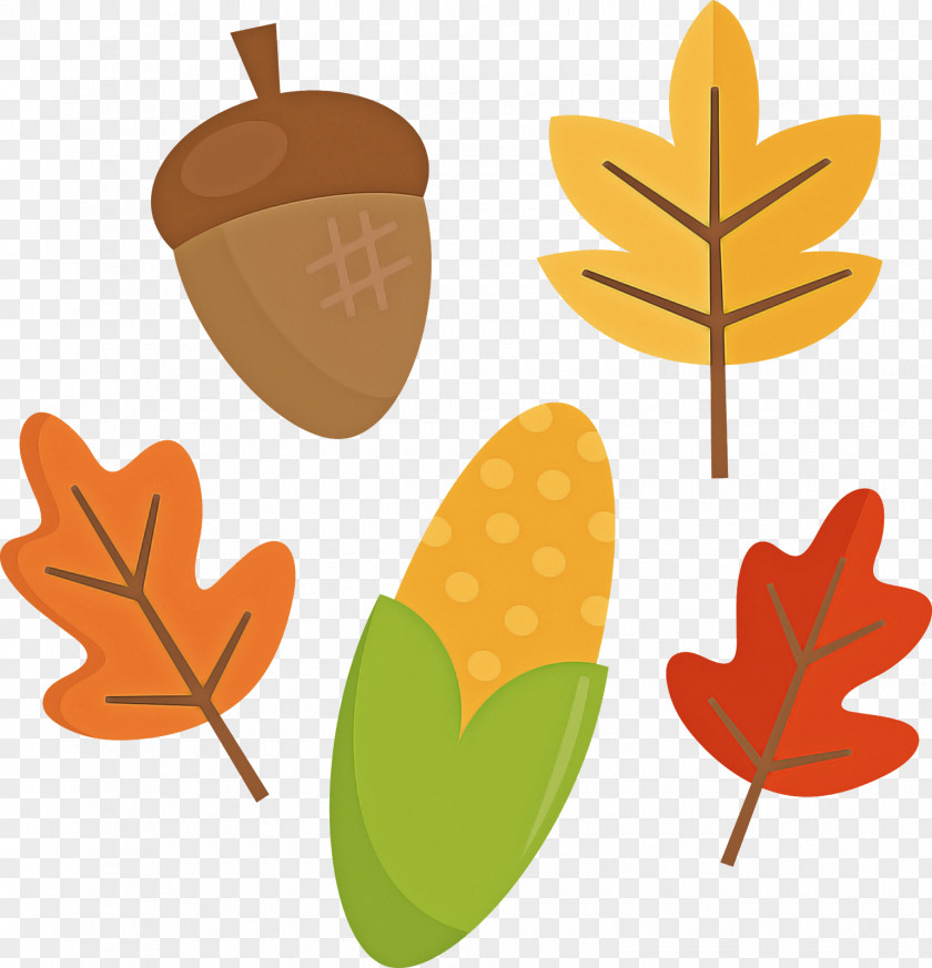 Plant Tree Leaf PNG