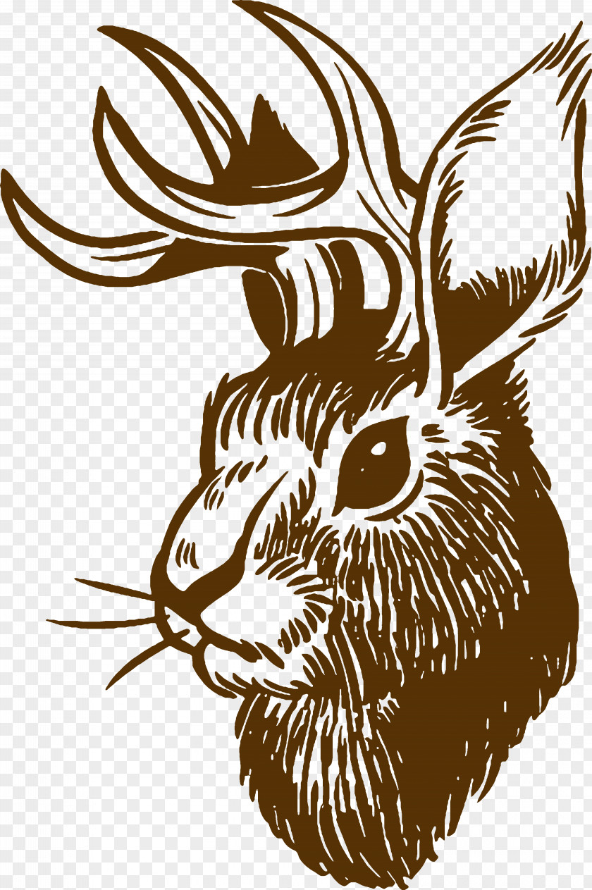 Ppe Jackalope Vector Graphics Stock Illustration Drawing PNG