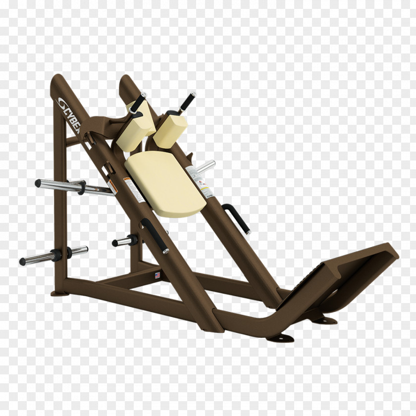 Gym Squats Cybex International Squat Weight Training Exercise Equipment Leg Press PNG