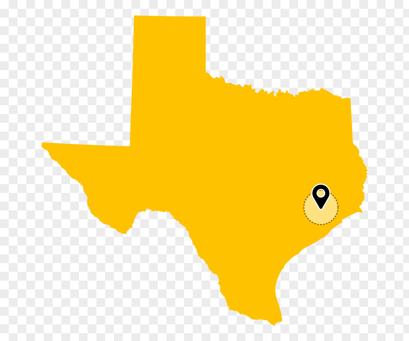 Map Texas Vector PNG