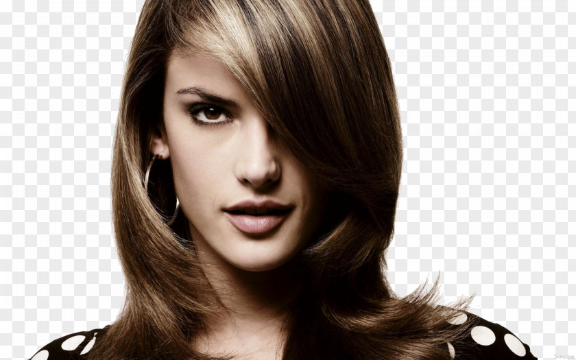 Model Alessandra Ambrosio Hairstyle Woman PNG