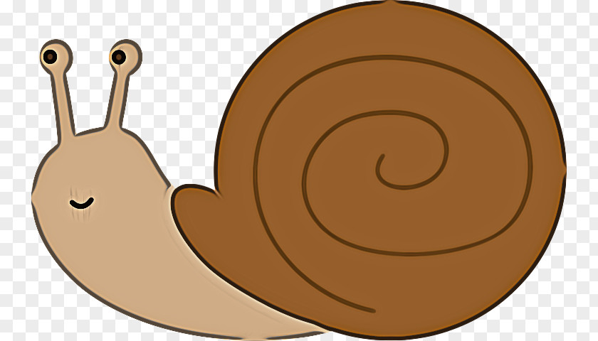 Slug Invertebrate Pie Cartoon PNG