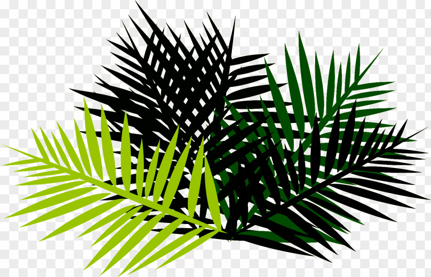 Woody Plant Branch Leaf Green Tree PNG