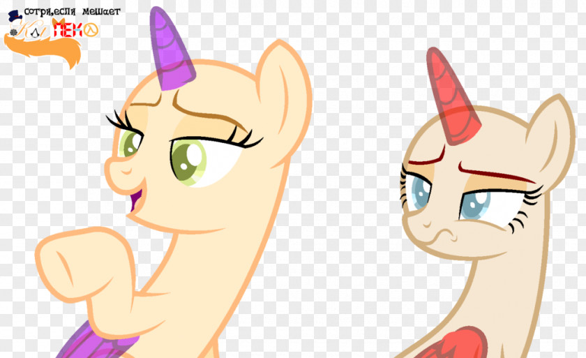 Cat My Little Pony PNG