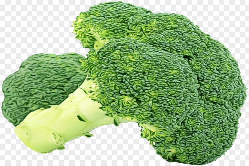 Cauliflower PNG