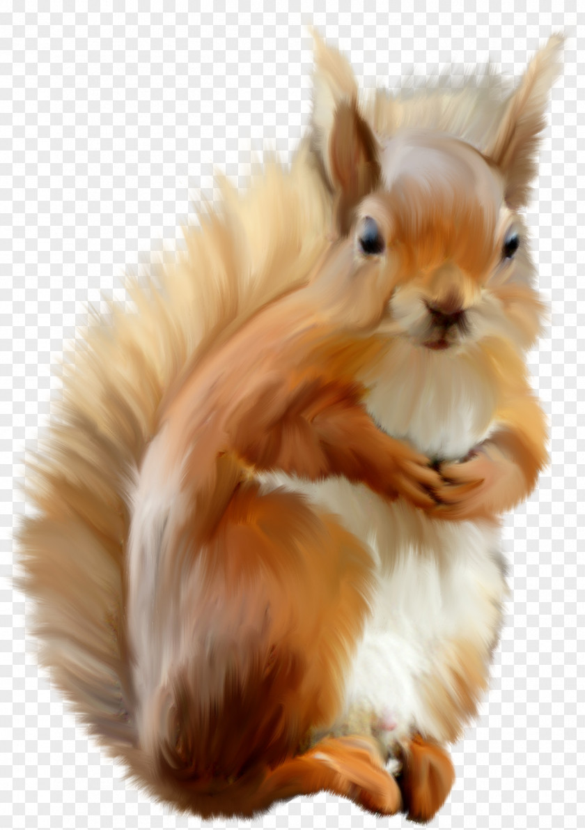 Dog Domestic Rabbit Protein Cat Tree Squirrels PNG