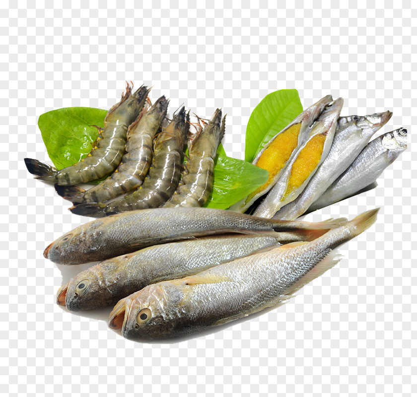 Fish And Seafood Caridea Sashimi PNG