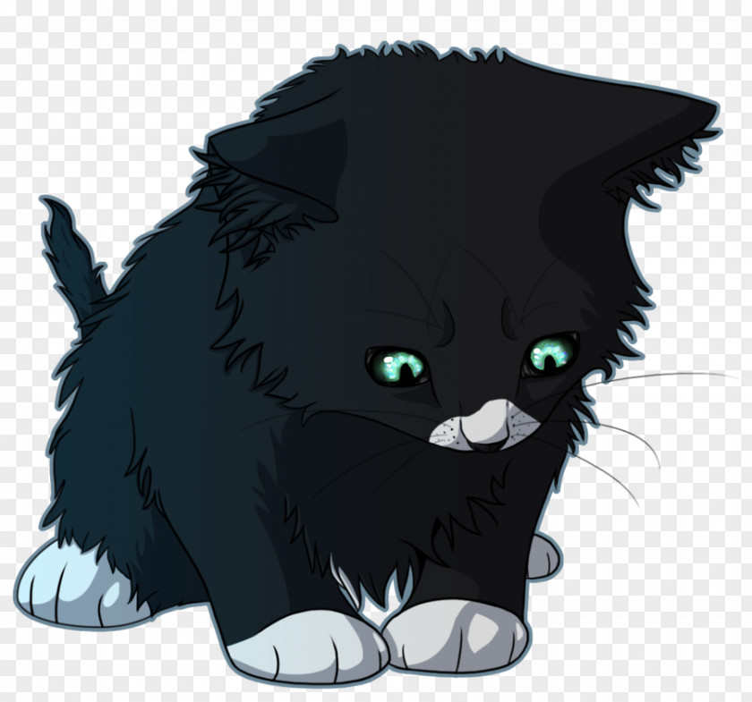 Kitten Whiskers Black Cat Domestic Short-haired PNG