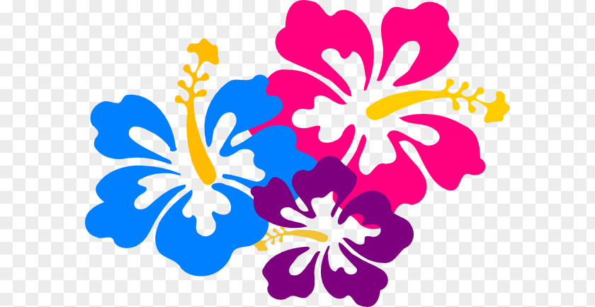 Meg Graphic Clip Art Hawaii Flower Image Drawing PNG
