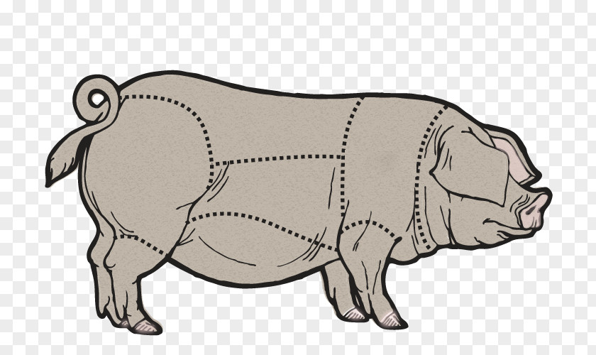 Pig Domestic Cattle Cut Of Pork PNG
