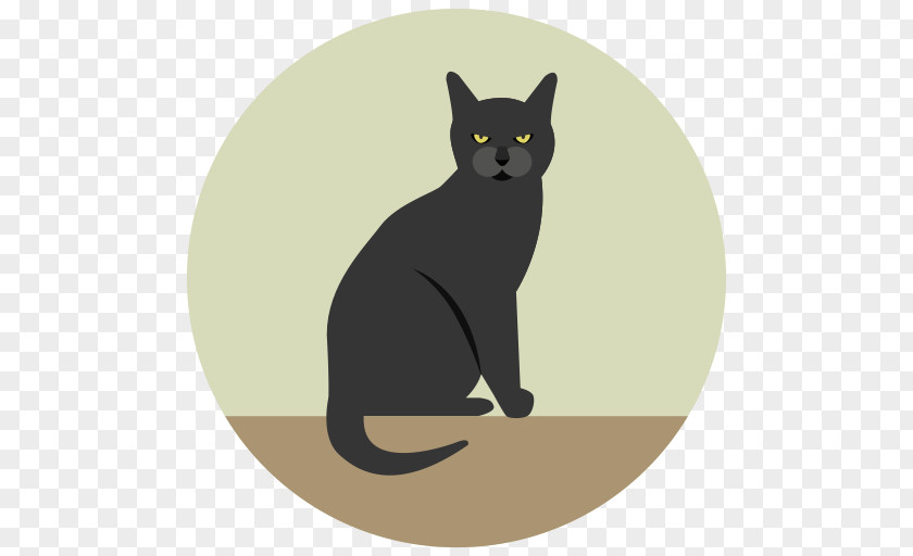 Youtube YouTube Cat Download PNG