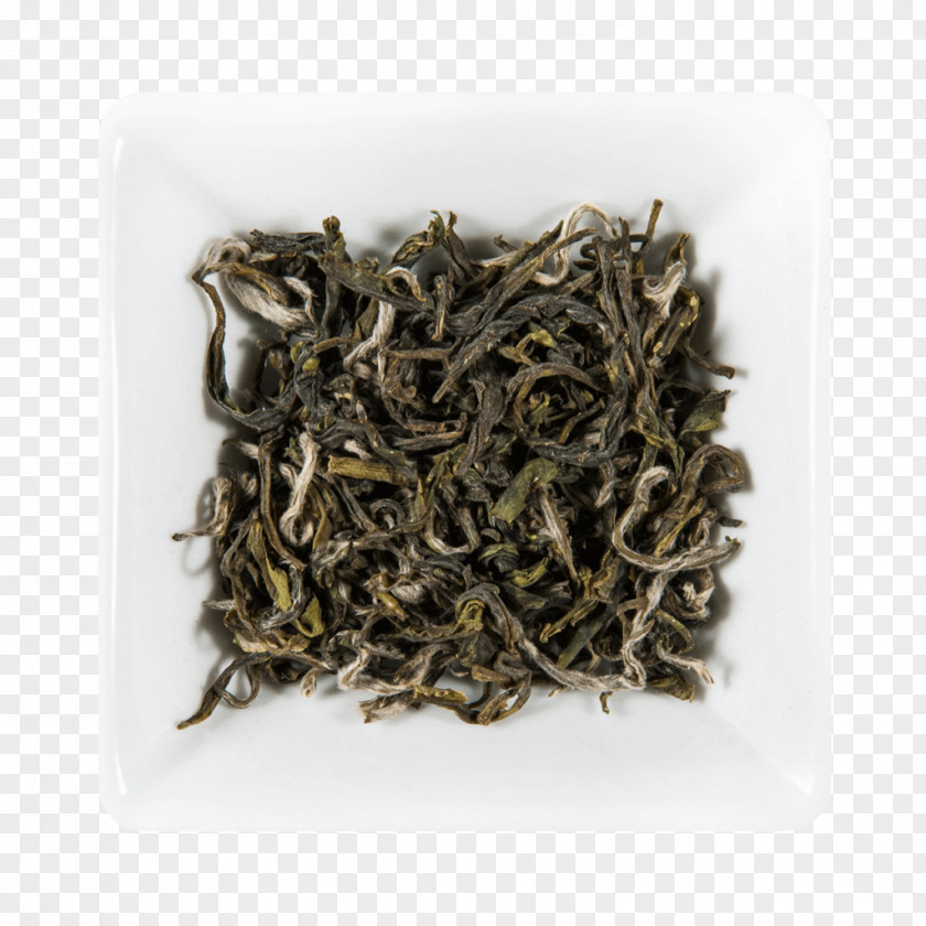 Green Tea Oolong Darjeeling White Baihao Yinzhen PNG