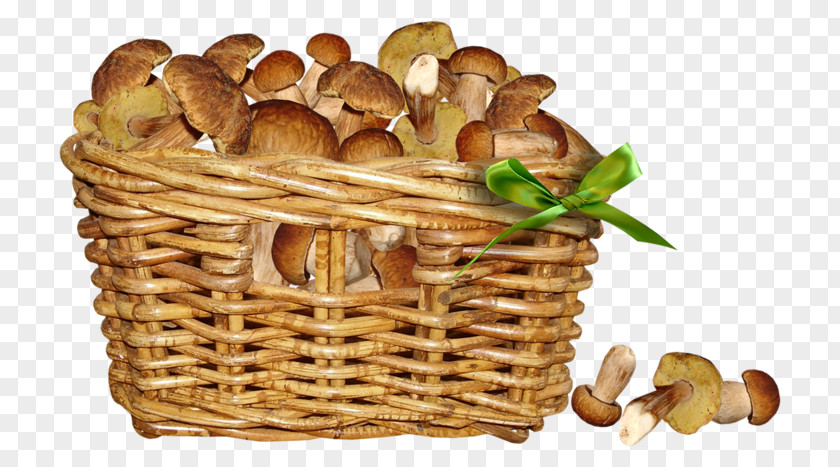 Mushroom Fungus Penny Bun Image PNG