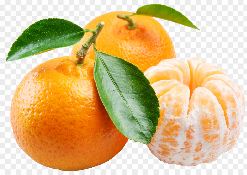 Orange Juice Mandarina Fruit Mandarin Food PNG