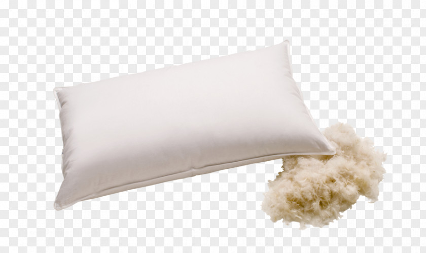 Pillow Throw Pillows PNG