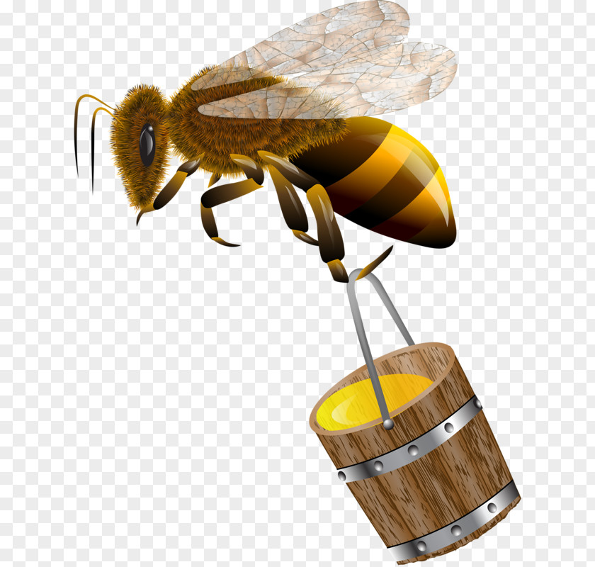 The Bees Carry Honey Bee Royalty-free Clip Art PNG