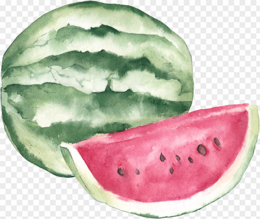 Watermelon Illustration Watercolor Painting Lychee PNG