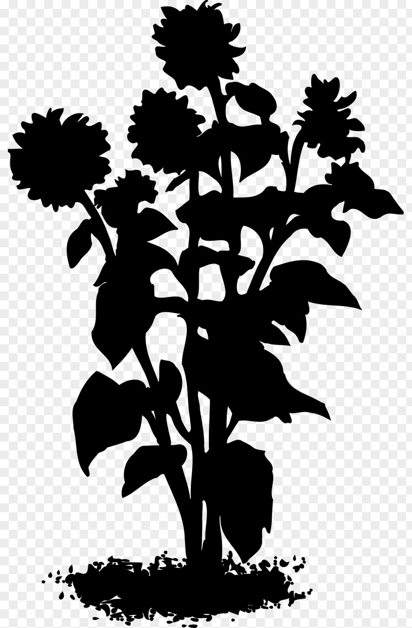 Flower Plant Stem Leaf Clip Art Silhouette PNG