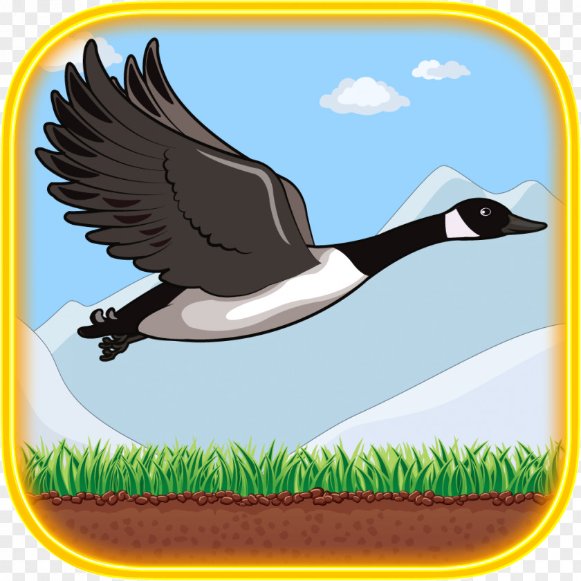 Goose Duck Bird Red Ball Jump Anatidae PNG