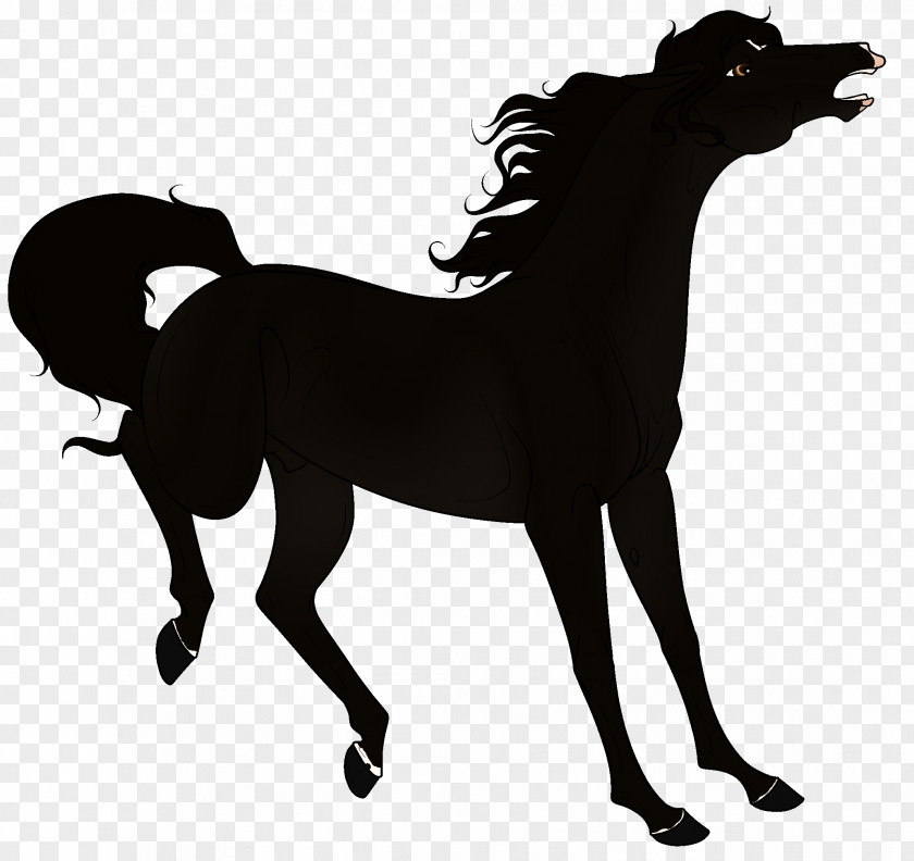 Horse Silhouette PNG