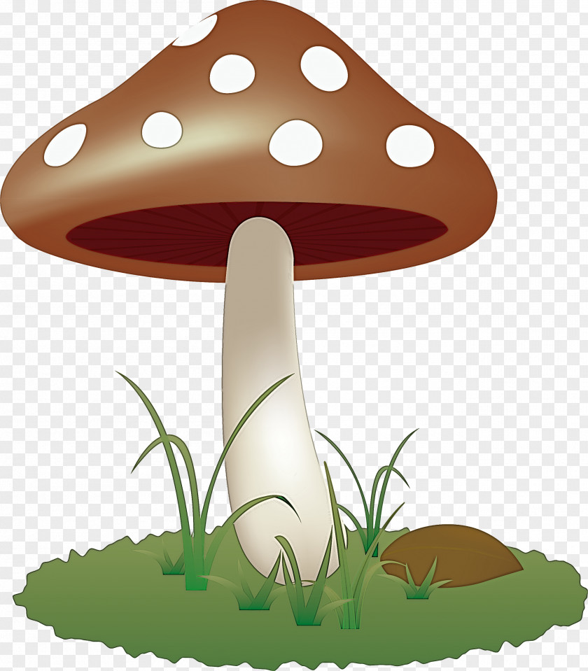 Mushroom PNG