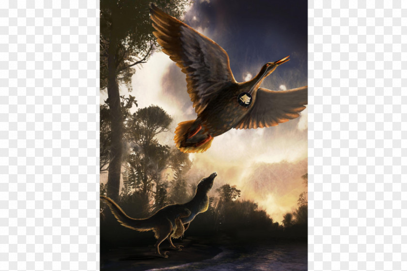 Roaring Dinosaur Vegavis Bird Archaeopteryx Fossil PNG