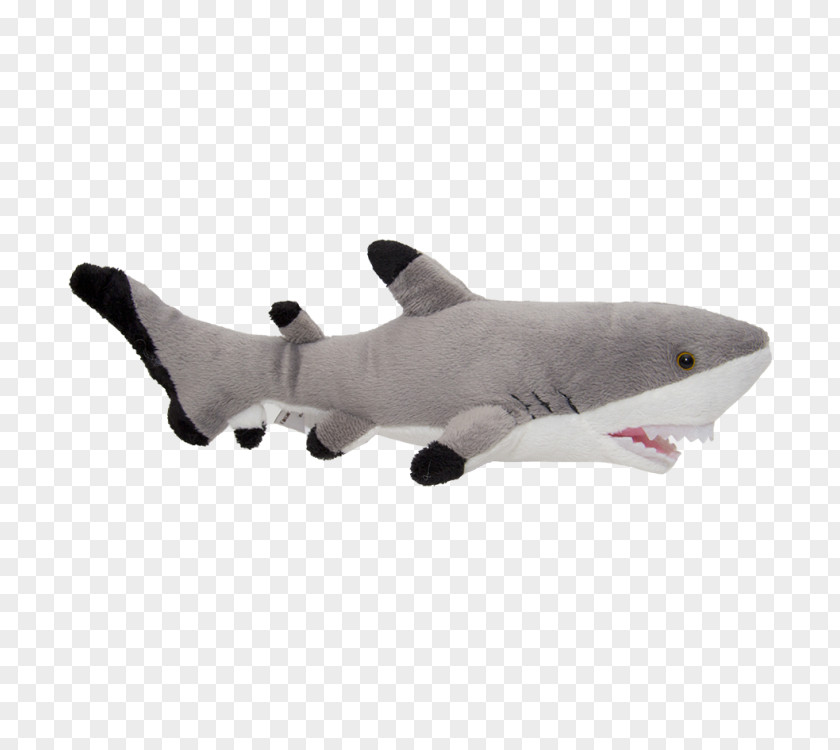 Shark Plush Stuffed Animals & Cuddly Toys Doll PNG