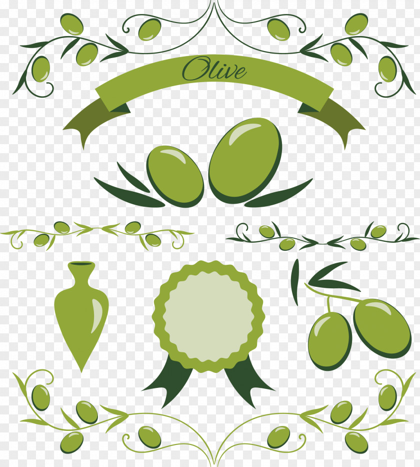 Vector Hand Painted Olive Oil Icon Euclidean Leaf PNG