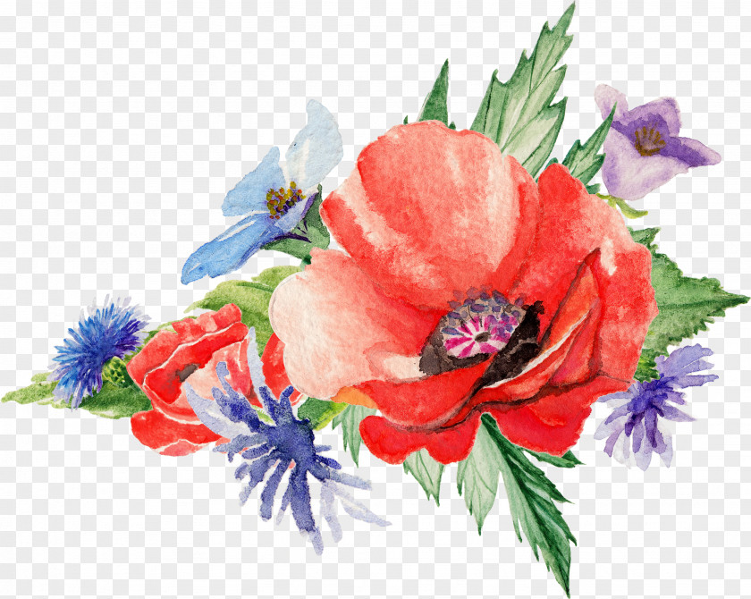 Watercolor Flowers Watercolor: Poppy Art Painting PNG