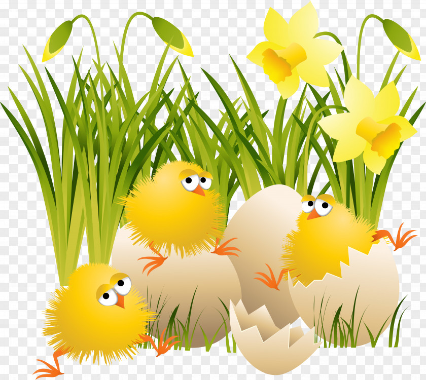 Chick Chicken Easter Clip Art PNG