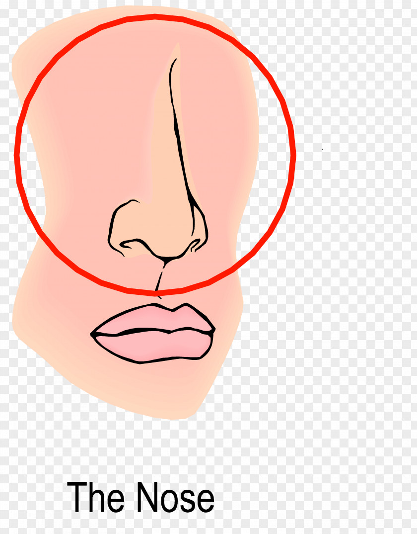 Nose Pursed Lip Breathing Chronic Obstructive Pulmonary Disease Diaphragmatic PNG