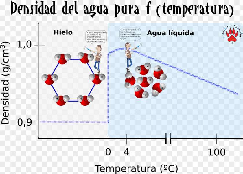 Particles CmapTools Biomolecule Concept Map Sustancia Inorgánica Biology PNG