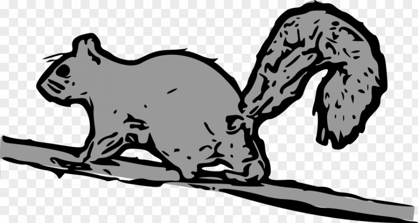 Picture Squirrel Tree Eastern Gray Clip Art PNG
