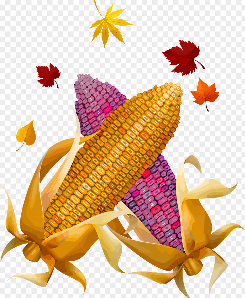 Thanksgiving Harvest PNG