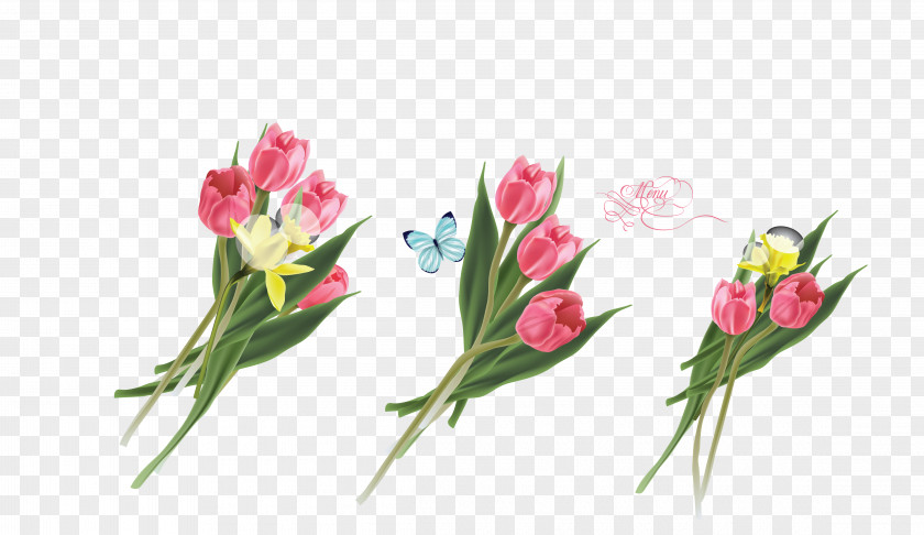 Vector Colored Three Lily Flowers Tulip Flower Lilium PNG