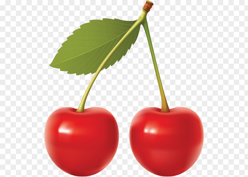 Cherry Pie Barbados Two Cherries Pub Clip Art PNG