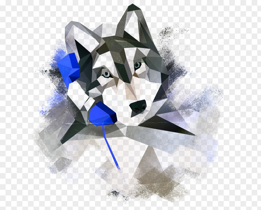 Husky Geometric Designs Geometry Shape Illustration PNG