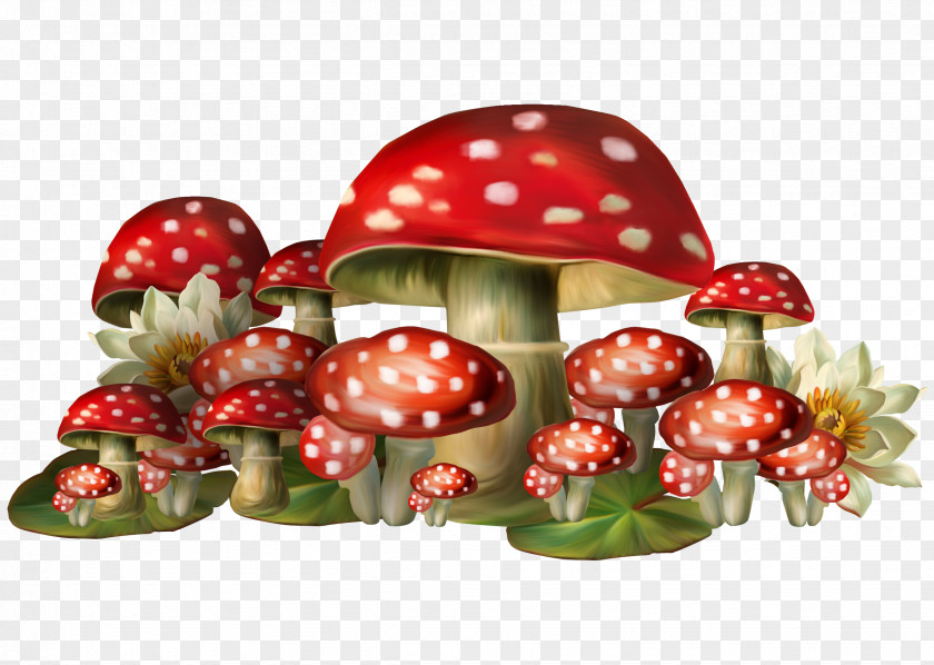 Red Mushroom Amanita Muscaria Clip Art PNG