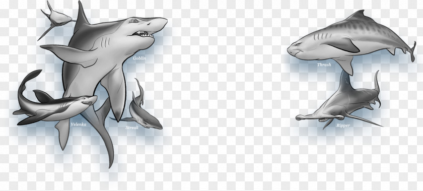 Shark Wars Whale Goblin PNG